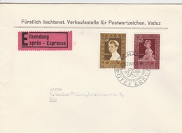 Liechtenstein Lettre Par Exprès Schaan 1955 - Brieven En Documenten