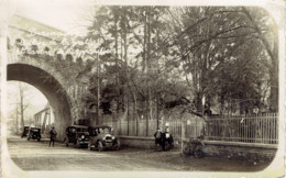 Beauraing Entrée De La Grotte Et L'arbre De L'apparition Carte Photo Agfa Oldtimer Anciennes Voitures Rare - Beauraing