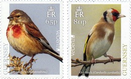 GUERNSEY GUERNESEY 2019 EUROPA BIRDS 2 Stamps ** - 2019