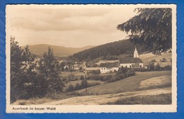 Deutschland; Auerbach Bayr. Wald; Panorama - Auerbach