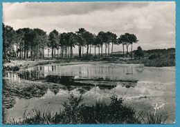 LES LANDES DE GASCOGNE - Etang D'AUREILHAN - Carte Circulé 1949 - Aureilhan Semeac