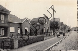 Postkaart - Carte Postale WILDERT Middenstraat  (o777) - Essen