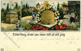 JASMLEIPZIG - Leipziger BIENEN-ZEITUNG - Echer HONIG I-II - Werbepostkarten