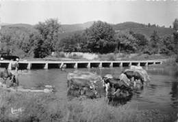 34-ENVIRONS DE LAMALOU-LES-BAINS- LES BORDS DE L'ORB A LA VERNIERE - Lamalou Les Bains