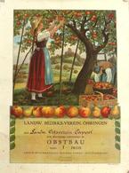 Landwirtschaft Öhringen (7110) Urkunde Für Besondere Leistung Im Obstbau 1929 II (fleckig, Stauchung) Paysans - Ausstellungen