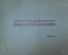 Landwirtschaft Schlesien Ackerbau Viehzucht Forstwirtschaft Kartenband 1946 Die Leistungen Im Mittel Der Jahre 1934 - 38 - Ausstellungen