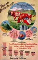 Landwirtschaft Viehhaltung Landwirtschafts Produktion 1911 I-II Paysans - Exhibitions