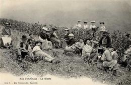 Wein Weinlese 1906 I-II Vigne - Exhibitions