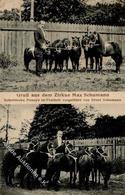 Zirkus Max Schumann Schottische Ponnys 1913 I-II - Altri & Non Classificati