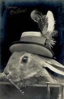 Ostern Hase Personifiziert Foto AK 1910 I-II Paques - Pâques