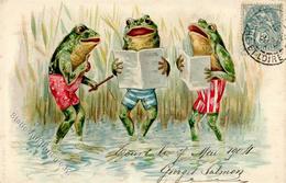 Frosch Personifiziert Lithographie 1904 I-II Grenouille - Andere & Zonder Classificatie