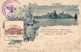 Biene Neuburg (8858) Bezirks Bienenzucht & Obstbau Verein 1899 I-II - Otros & Sin Clasificación