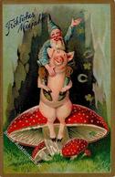 Schwein Zwerg Pilz Neujahr  1914 I-II Cochon Bonne Annee Lutin - Otros & Sin Clasificación