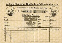 Taube Stammkarte Der Brieftaube Mit Ring  KEINE AK I-II - Autres & Non Classés