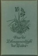 Raumbildalbum Mit Betrachter Aus Der Lebensgemeinschaft Des Waldes Dietrich, Kurt Dr. 1939 Verlag Otto Schönstein 150 Ra - War 1939-45