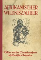 Sammelbild-Album Afrikanischer Wildniszauber Berger, Arthur Dr.  Ca. 1938 Verlag Neueste Nachrichten Goslar U. Salzgitte - Guerra 1939-45