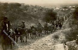 Kolonien Deutsch Südwestafrika 8'er Eselgespann Foto AK I-II Colonies - Unclassified