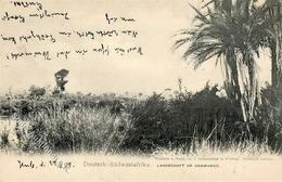 Kolonien Deutsch Südwestafrika Kub Landschaft Am Okawango 1905 I-II Colonies - Ohne Zuordnung