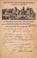 Vorläufer 1883 Externstein Horn-Bad Meinberg (4934) Carl Reinekes Hotel U. Pension I-II (fleckig) - Andere & Zonder Classificatie