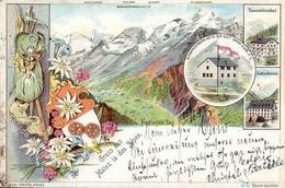 Berghütte Schwarzenberg Hütte  Lithographie 1897 I-II Cabane - Sonstige & Ohne Zuordnung