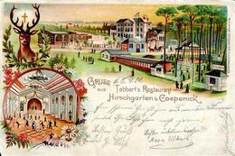 Köpenick (O1199) Gasthaus Hirschgarten Tabbert  1901 II (Stauchung) - Cameroon