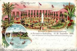 Bad Godesberg (5300) Blumen- Und Gartenbauausstellung September 1898  II (Ecken Abgestossen) - Kamerun