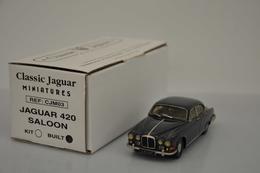 Jaguar - Altri & Non Classificati