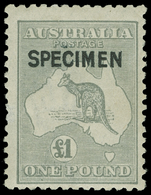 S Australia - Lot No.111 - Sammlungen