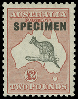 S Australia - Lot No.117 - Sammlungen