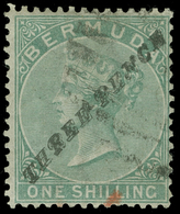 O Bermuda - Lot No.202 - Bermudes