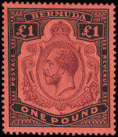 * Bermuda - Lot No.206 - Bermudes