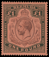 ** Bermuda - Lot No.207 - Bermudas