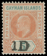* Cayman Islands - Lot No.337 - Kaaiman Eilanden