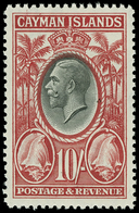 ** Cayman Islands - Lot No.349 - Kaimaninseln