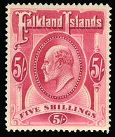 * Falkland Islands - Lot No.429 - Falkland