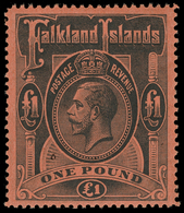 ** Falkland Islands - Lot No.438 - Falklandinseln