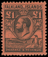 * Falkland Islands - Lot No.442 - Falklandeilanden