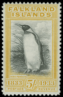 ** Falkland Islands - Lot No.447 - Falkland