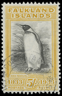 O Falkland Islands - Lot No.448 - Falkland Islands