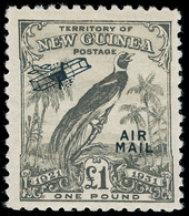 ** New Guinea - Lot No.750 - Papúa Nueva Guinea