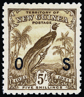 * New Guinea - Lot No.753 - Papua-Neuguinea