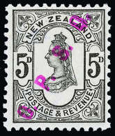 * New Zealand - Lot No.811 - Oblitérés