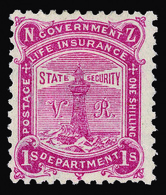 * New Zealand - Lot No.821 - Usati