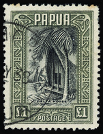 O Papua New Guinea - Lot No.883 - Papua Nuova Guinea