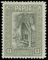 * Papua New Guinea - Lot No.884 - Papua-Neuguinea