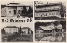 AK - OÖ - Bad Weinberg (Prambachkirchen) - Pension Dachsberg U. Kainradl  - 1956 - Eferding