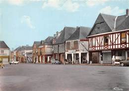 35-LA-GUERCHE-DE-BRETAGNE- LES PORCHES - La Guerche-de-Bretagne