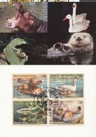 United Nations NY Maximum Card Endangered Species 2000 Loutre De Mer Hippopothame Oie Sauvage - Maximumkaarten