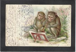CPA Singe Monkey Position Humaine Humanisé Circulé - Singes