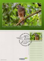 Costa Rica - 2018 - National Parks - Carara - Broad-winged Hawk - Postcard With Printed Stamp And Postmark - Costa Rica